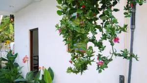 稻田景观住宿加早餐旅馆 - Kotawila