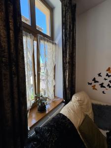 Central Golden Apartment