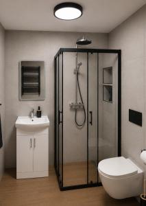 Apartament Lipowa