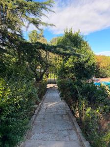 Casa Nancy Piscina y Naturaleza cerca de Madrid