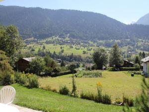 Apartment Adele Appartement-Fewo- Dusche oder Bad- WC 4 1-2 Zimmerwohnung- 6-Betten by Interhome