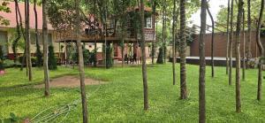 Tectona treetop mansion by horizon estates