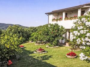 Apartment Il Mulinetto by Interhome