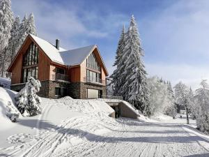 Apartment Rebelka-2 by Interhome