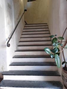 La casa del Marchese