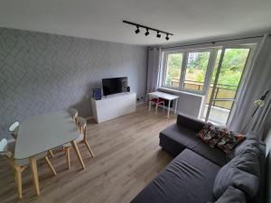 SZPITAL ZDROJE Apartment