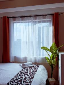 Narca Homes Cozy Stylish Executive Studio 1BR Junction Mall