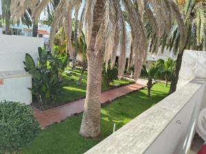 MARINE HOME garden view