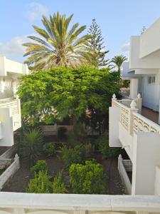 MARINE HOME garden view