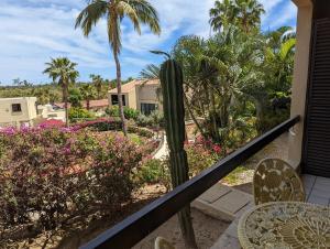Walk to Beach - Pool Access - Walk to Restaurants