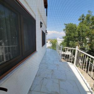Lemon Tree Villa