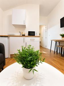 Apartamentos Rey