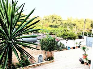 Guest House "Pisha"