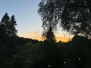 Domek w Tylawie - Róż i Las - Beskid Niski