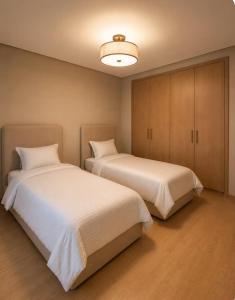 Appartement luxueux