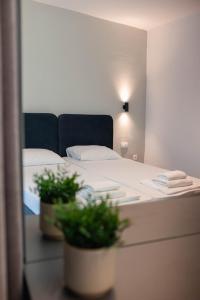 New Times Rooms & Apartments