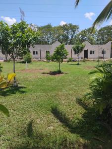 Cancun Paradaiso orchard