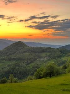 Cioclovina Tribe