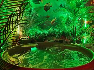 Apartament WODNY RAJ Z BASENEM SAUNĄ JACUZZI NA WYŁĄCZNOŚĆ
