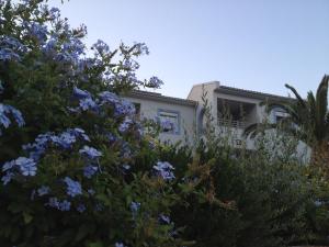 Aigli Apartments