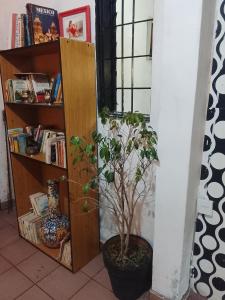 Fabylu2