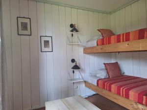Lakefront Aculeo Red House Wifi Pet & Wood Hot Tub