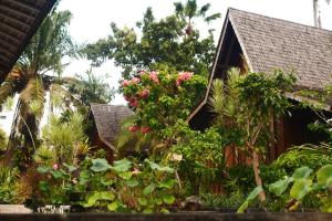 Wayang Retreat