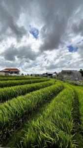 KK villa - CoLiving
