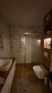 FENIX Apartament - Dębowy, Garaż podziemny, 2xParking, Ogród,Targi, Faktura VAT, dostęp 24h