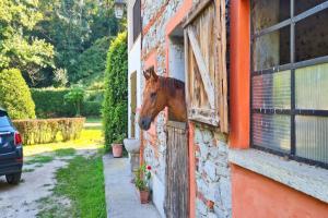 Timeless lAntico Mulino Della Bozza in Brebbia - Happy Rentals