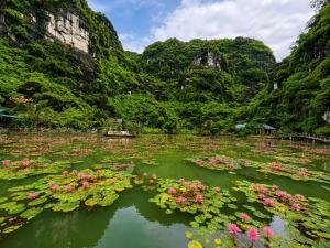 Cham Trang An Retreat Ninh Binh