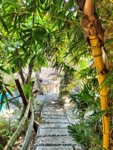 Villas cocos