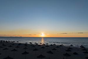 Olive Tree Apartment - Happy Rentals