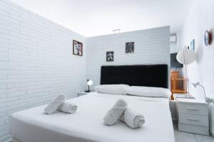 Carabeo 16 Studios Casasol