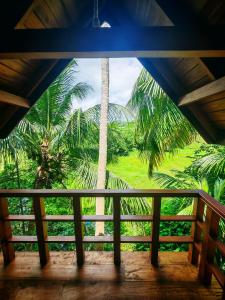Paddy field Whispering wind Cabin