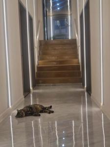 Mankur Hotel