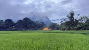 La Mai Chau Home