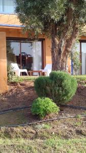 Appartement Privé au Vizir Center Marrakech