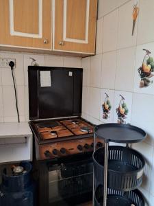 Furnished 1-Bedroom with Garden, Solar and Home Office in Runda