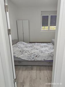 Olgica lux