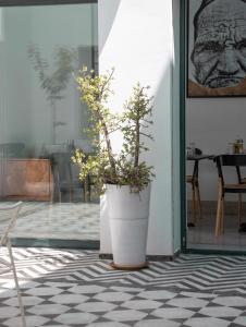 Dar Dou Boutique Guesthouse Art and Pool in Tunis Medina