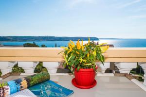 Apartments Marko Dominik