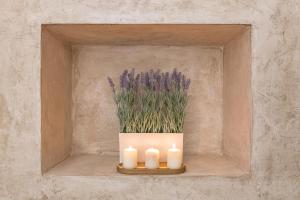 Etruscan Dream Jacuzzi Apartment in the Heart of Perugia