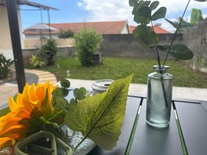 Aqua Living by Monte Palace Gardens