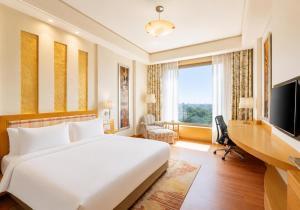 Radisson Noida