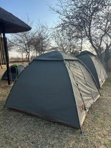 Green Zest Farm & Campsite