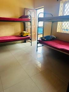 Anjuna Stays & backpackers
