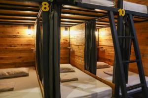 Yellow Umbrella Hostels