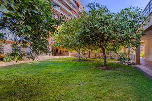 Eurosol 3 By IVI Real Estate