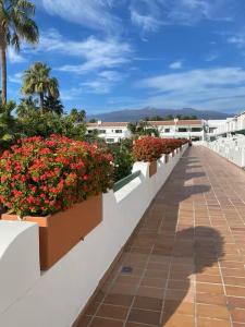 Relax y Tranquilidad en el Sur Tenerife Parque Don Jose